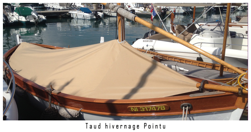 Taud hivernage pointu